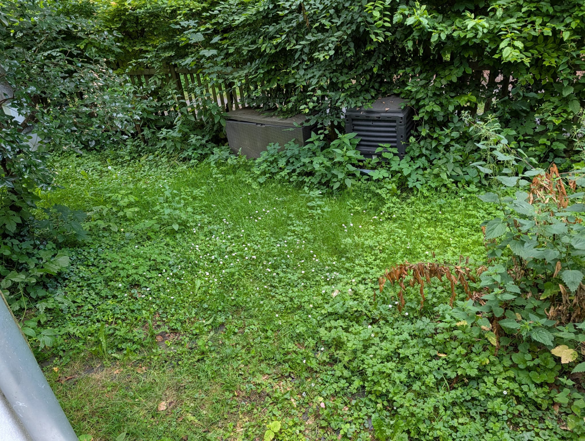 Stark verwilderte Gartenecke vor dem Einsatz